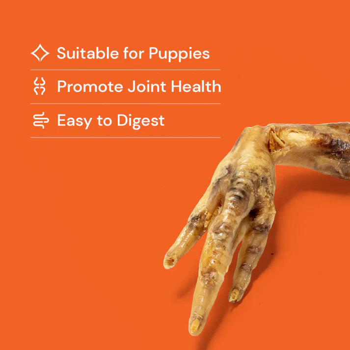 Chicken Feet Dog Chew & Treat Gluten Free Rich in Glucosamine Chondroitin for Joint Support.
