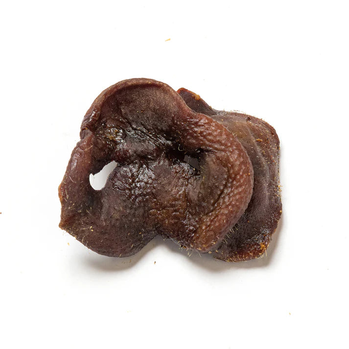 Natural Pig Snouts – Crunchy Dog Treats