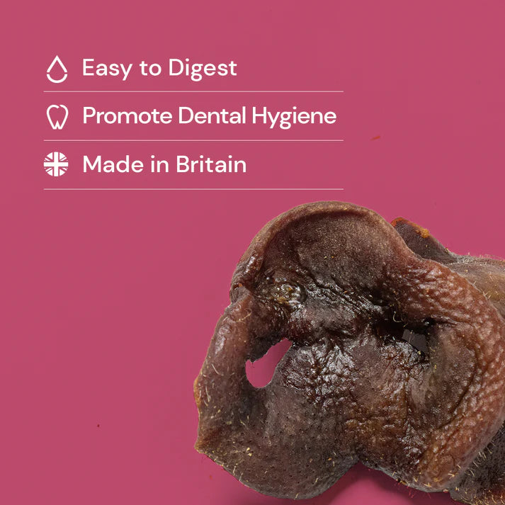 Natural Pig Snouts – Crunchy Dog Treats