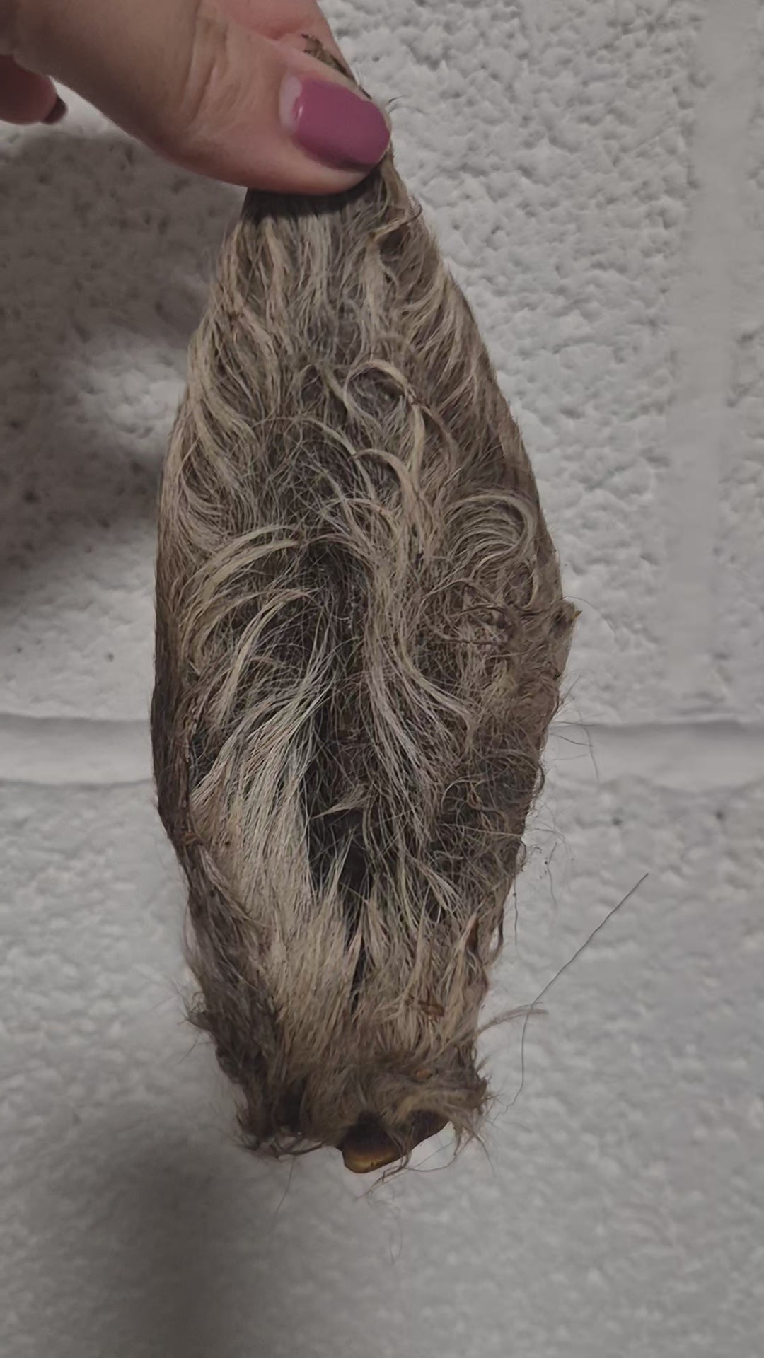 200g Fur on Venison Ears