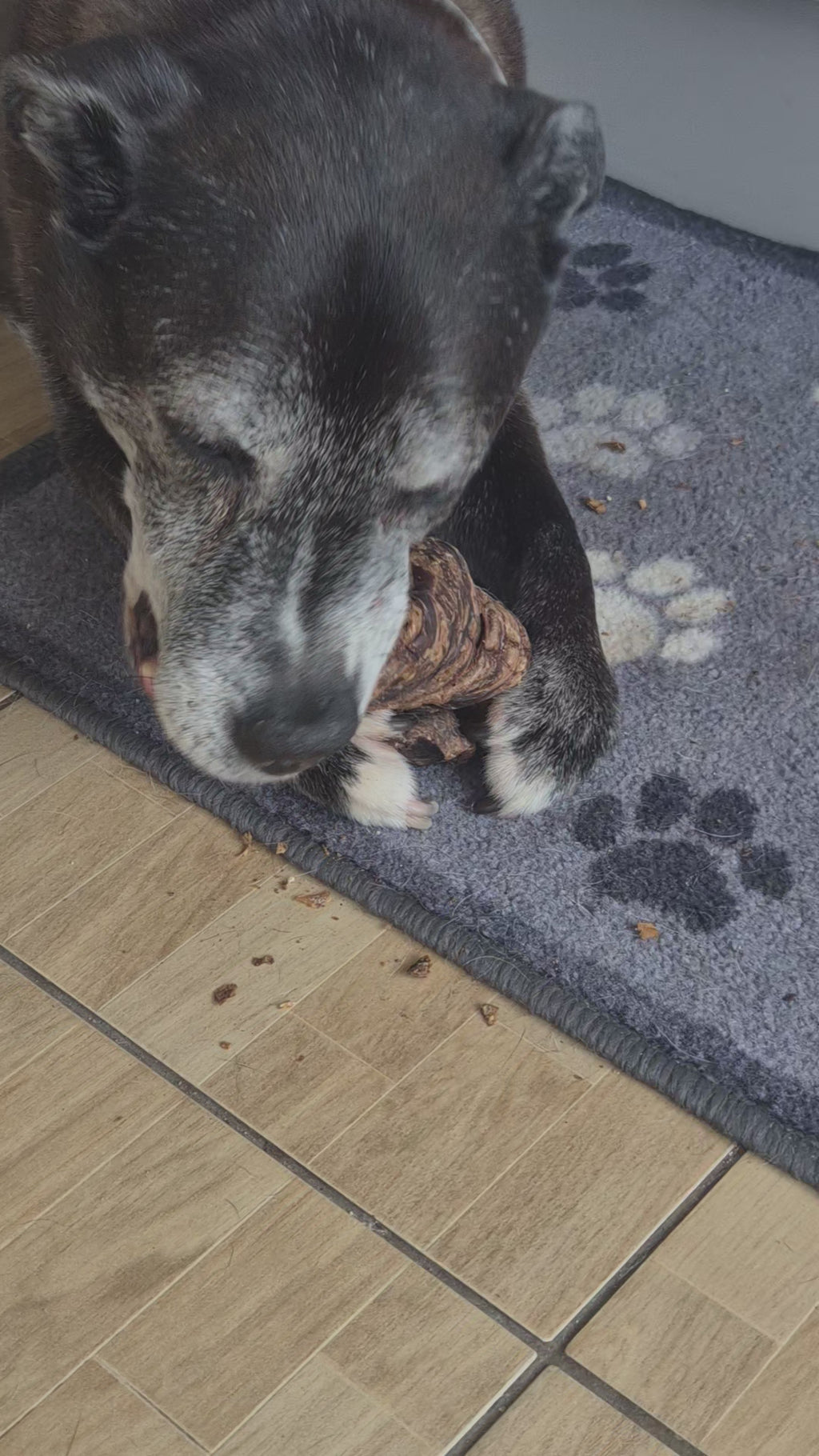 Buffalo Trachea Wrapped in Lung Natural Dog Treats for Healthy Snacks