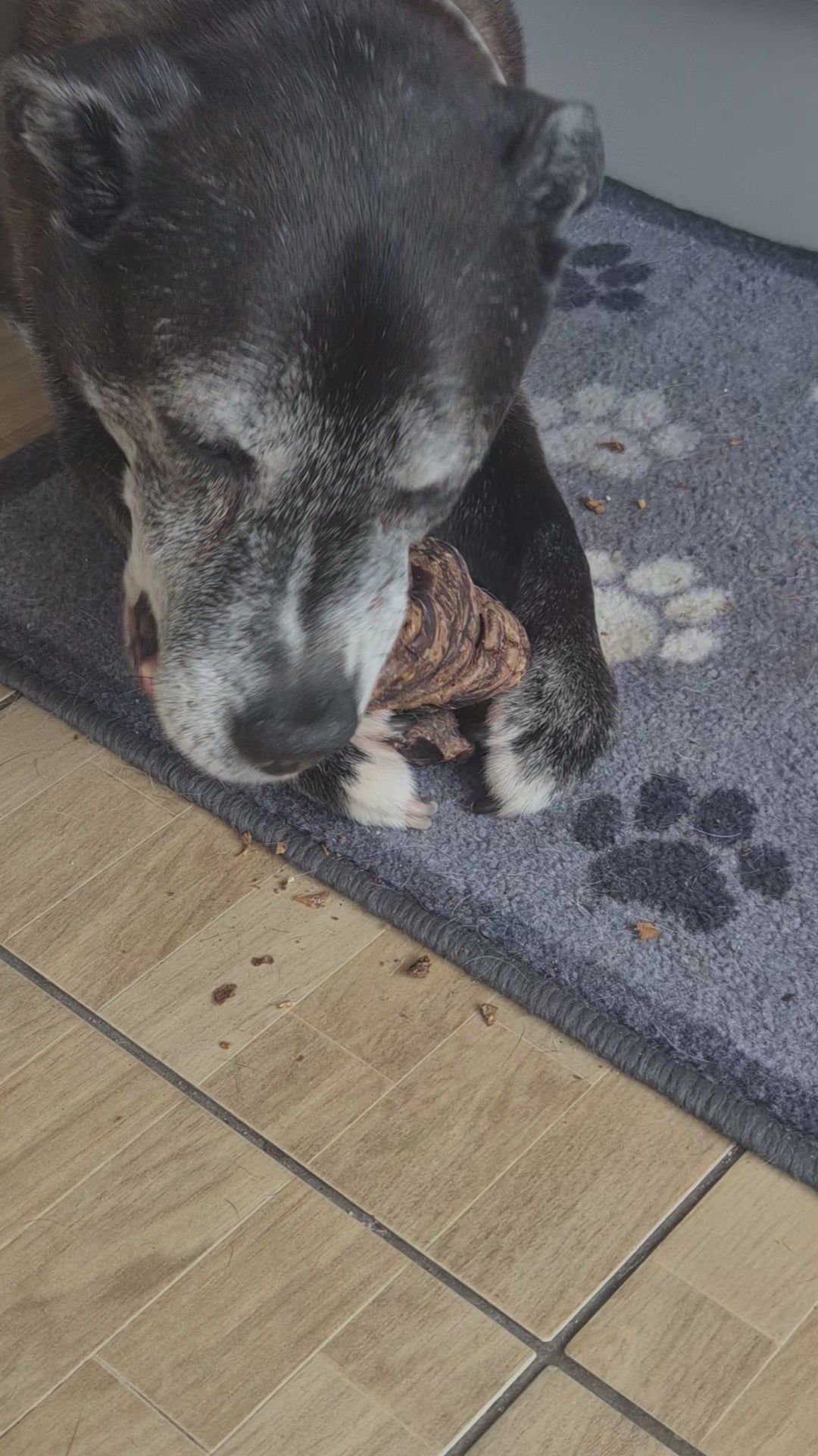 Buffalo Trachea Wrapped in Lung Natural Dog Treats for Healthy Snacks