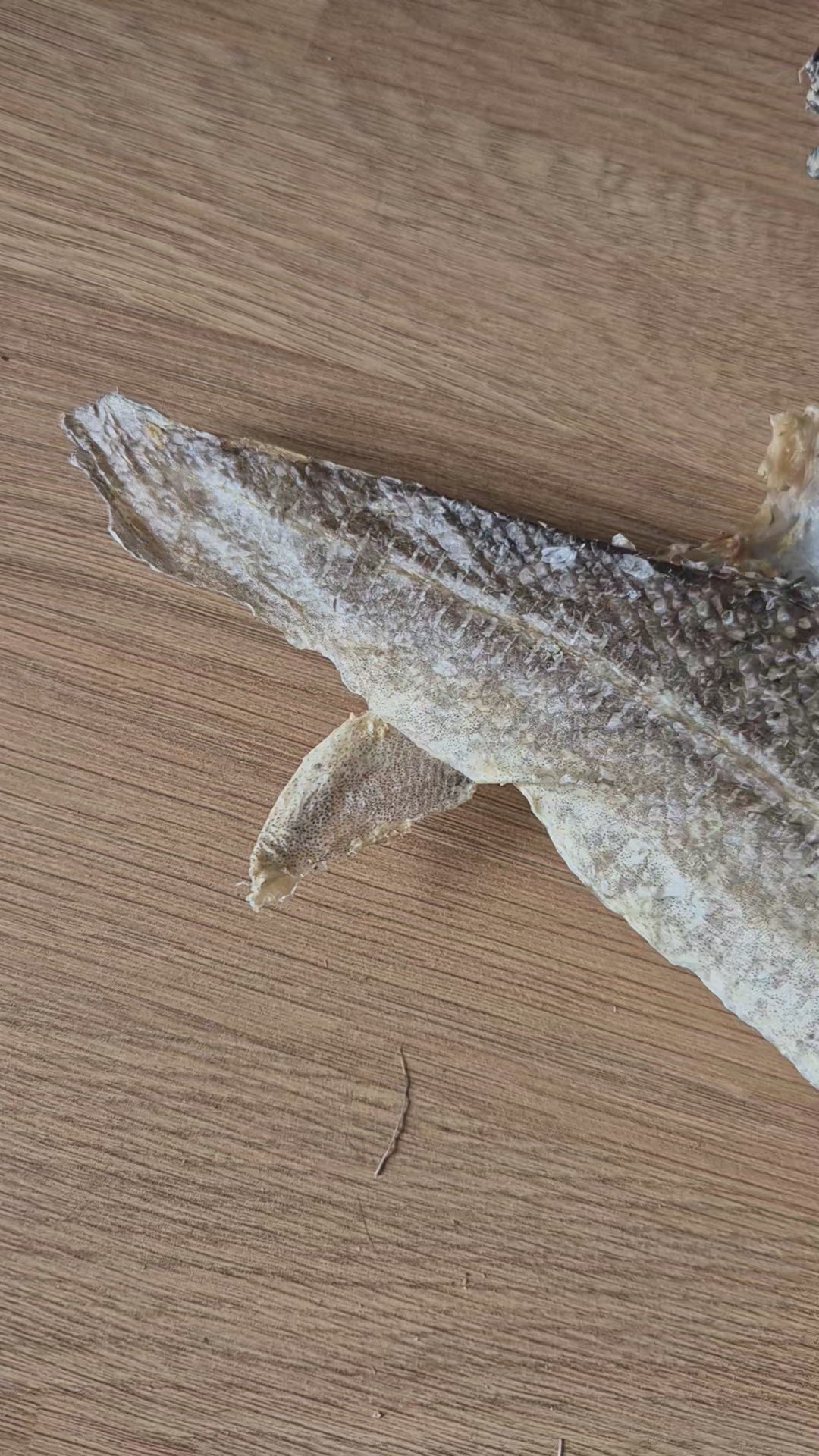 Flat Fish Skin Natural Treats for Dogs