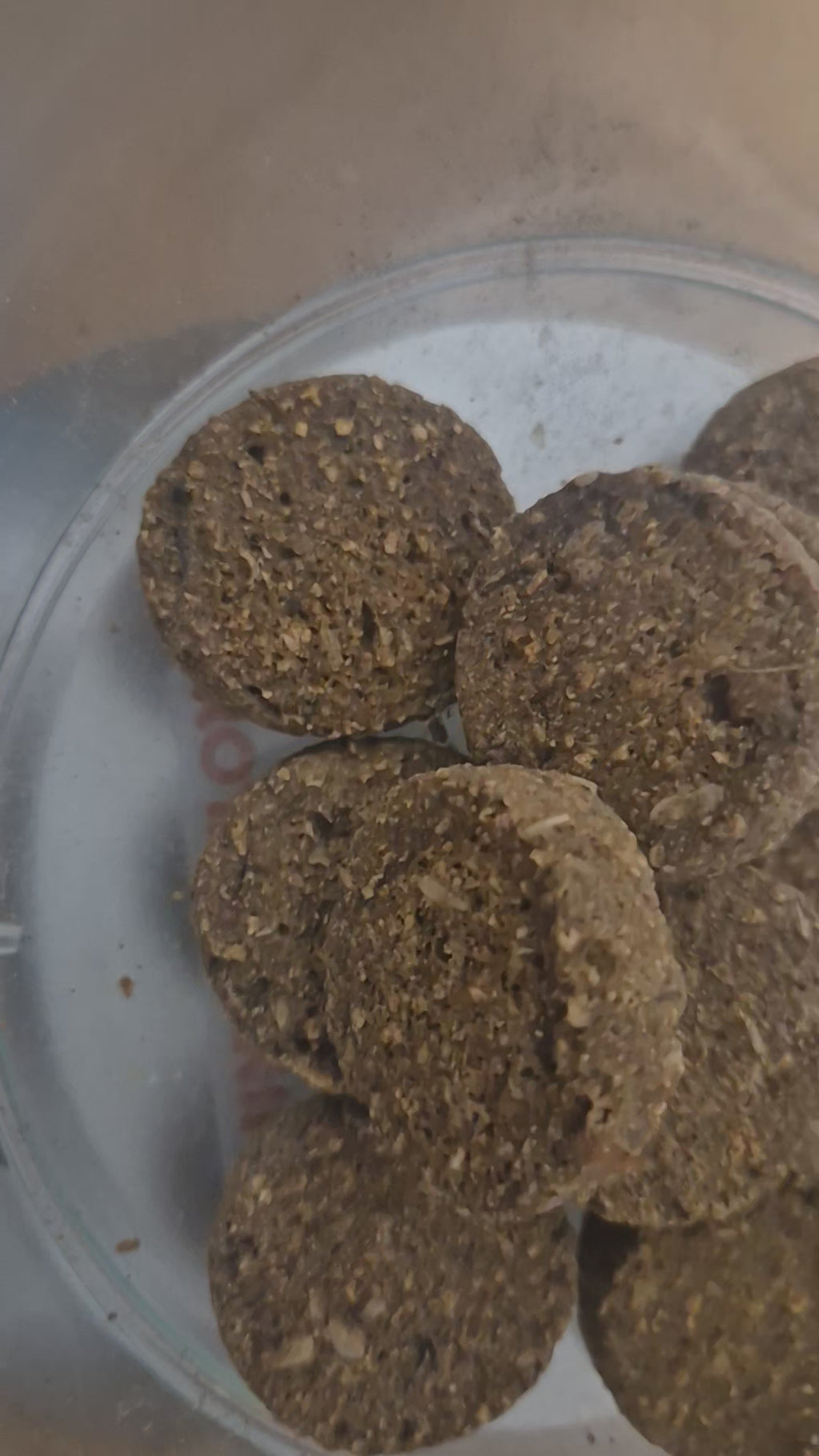 Gourmet Salmon Cookies. All Natural Dog Treats