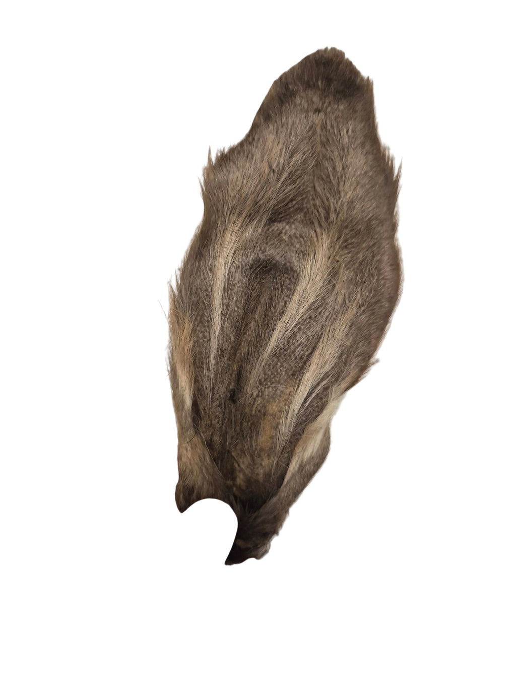 Fur on Lamb Ears. All natural dog treats