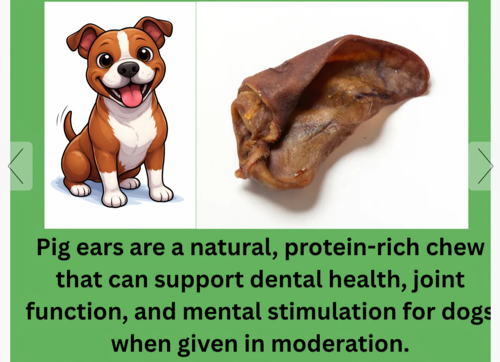 Large pig ears All Natural dog chew