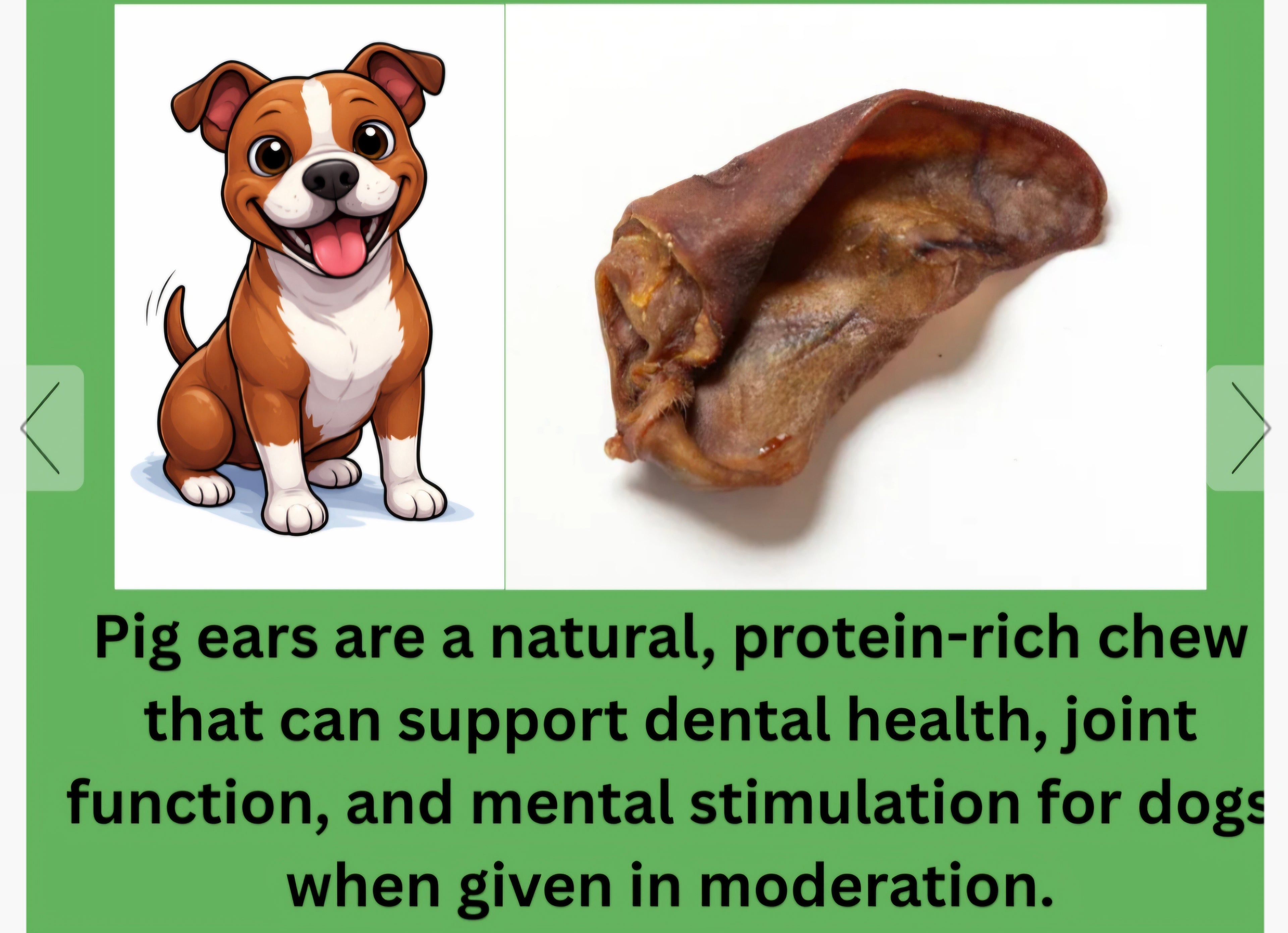 Large pig ears All Natural dog chew