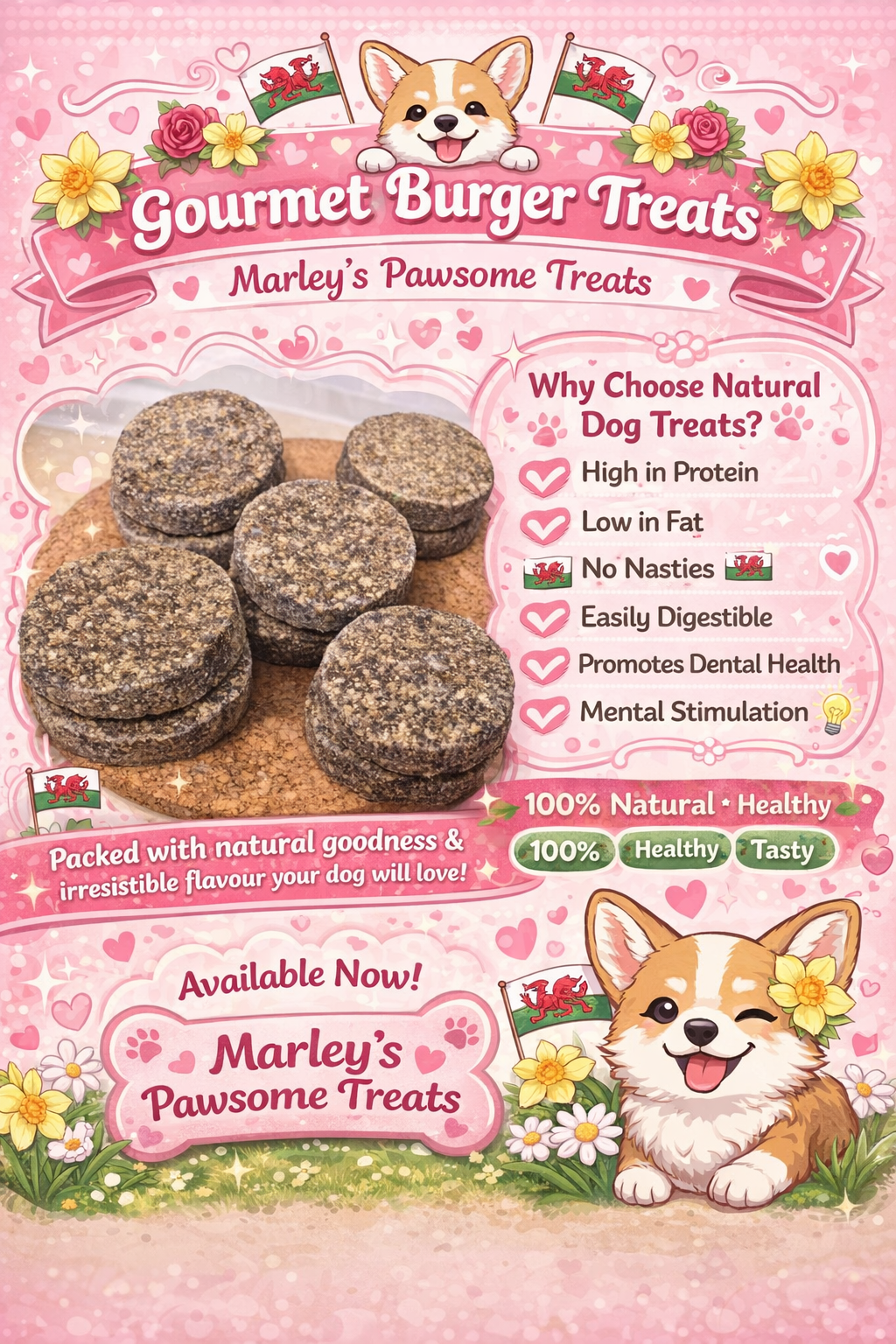 Mixed Flavoured Gourmet Burgers. Natural dog treats