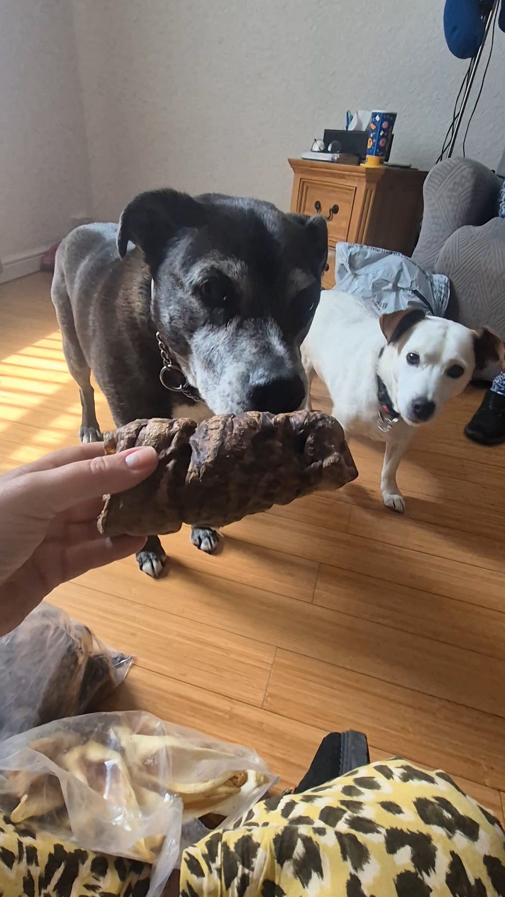 Buffalo Trachea Wrapped in Lung Natural Dog Treats for Healthy Snacks
