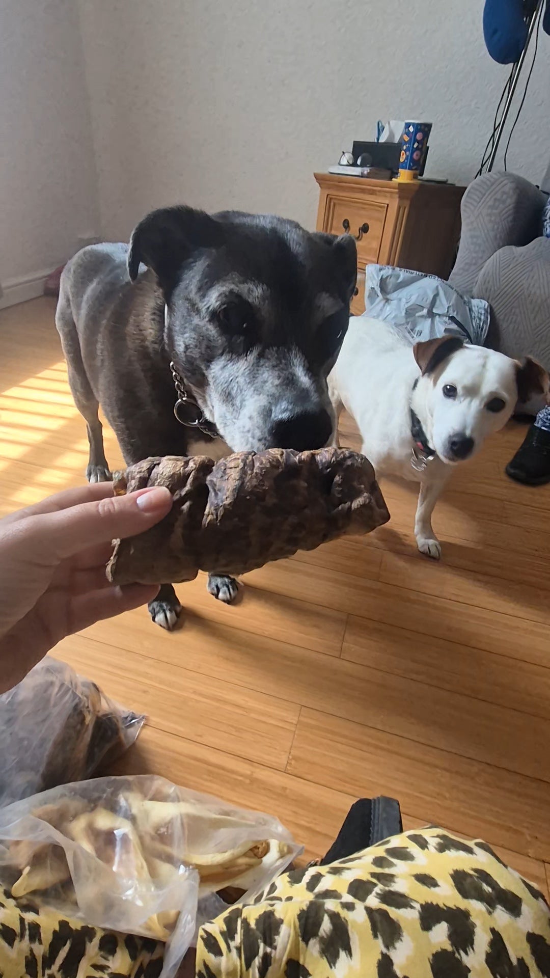 Buffalo Trachea Wrapped in Lung Natural Dog Treats for Healthy Snacks