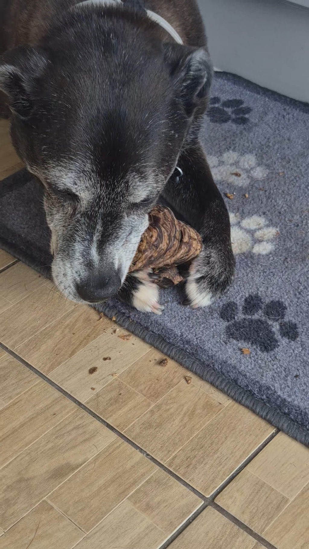 Buffalo Trachea Wrapped in Lung Natural Dog Treats for Healthy Snacks