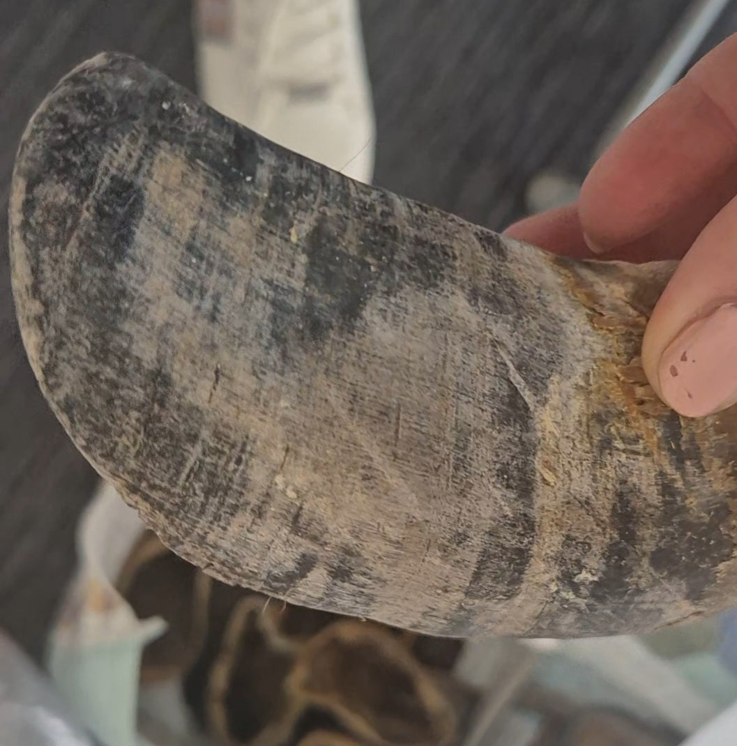 Beef Hooves (Hoofs) Natural Dog Chew