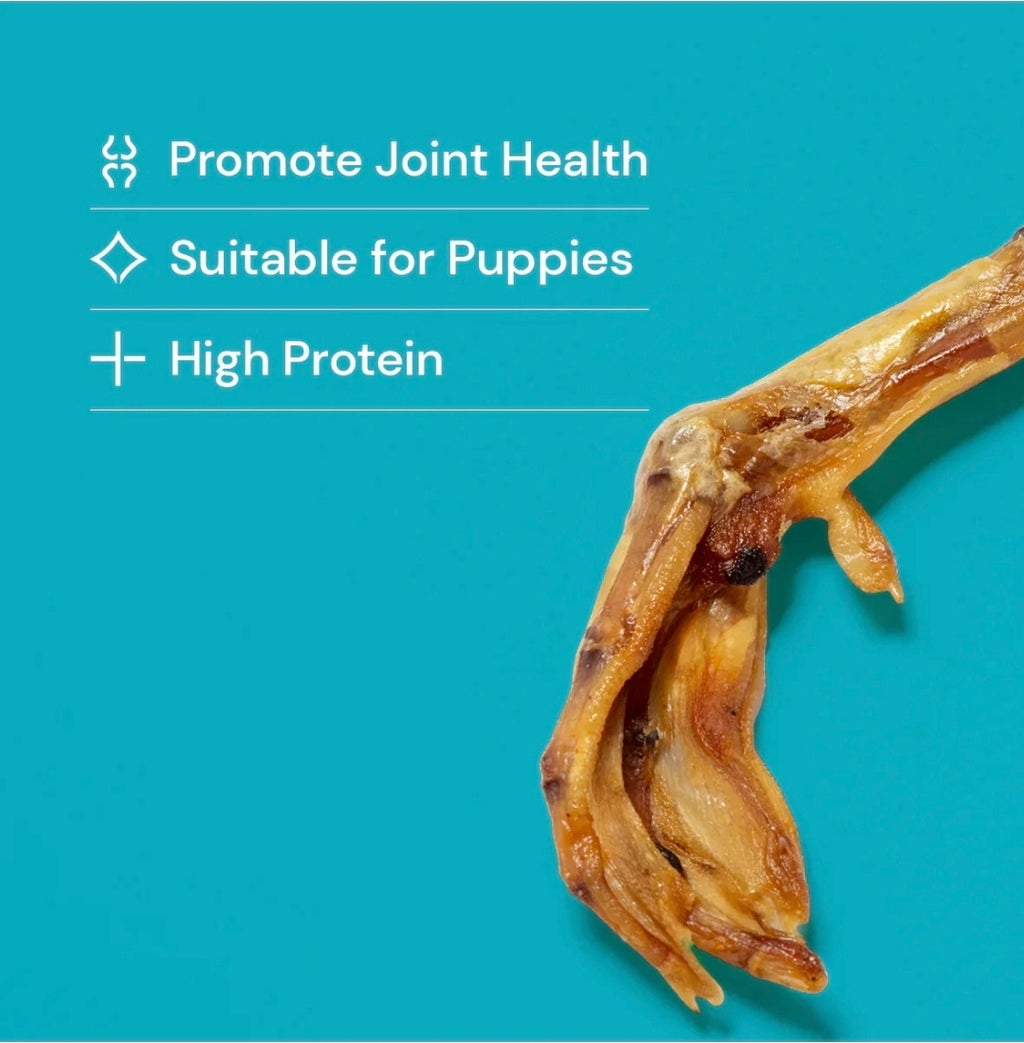 Duck wing & feet Combo All Natural dog treats