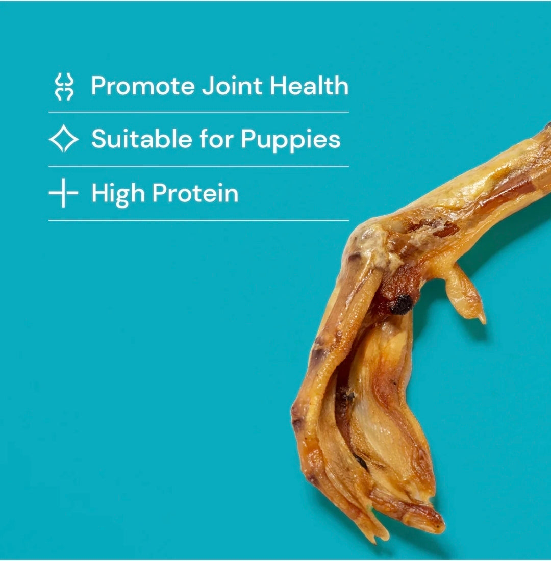 Duck wing & feet Combo All Natural dog treats