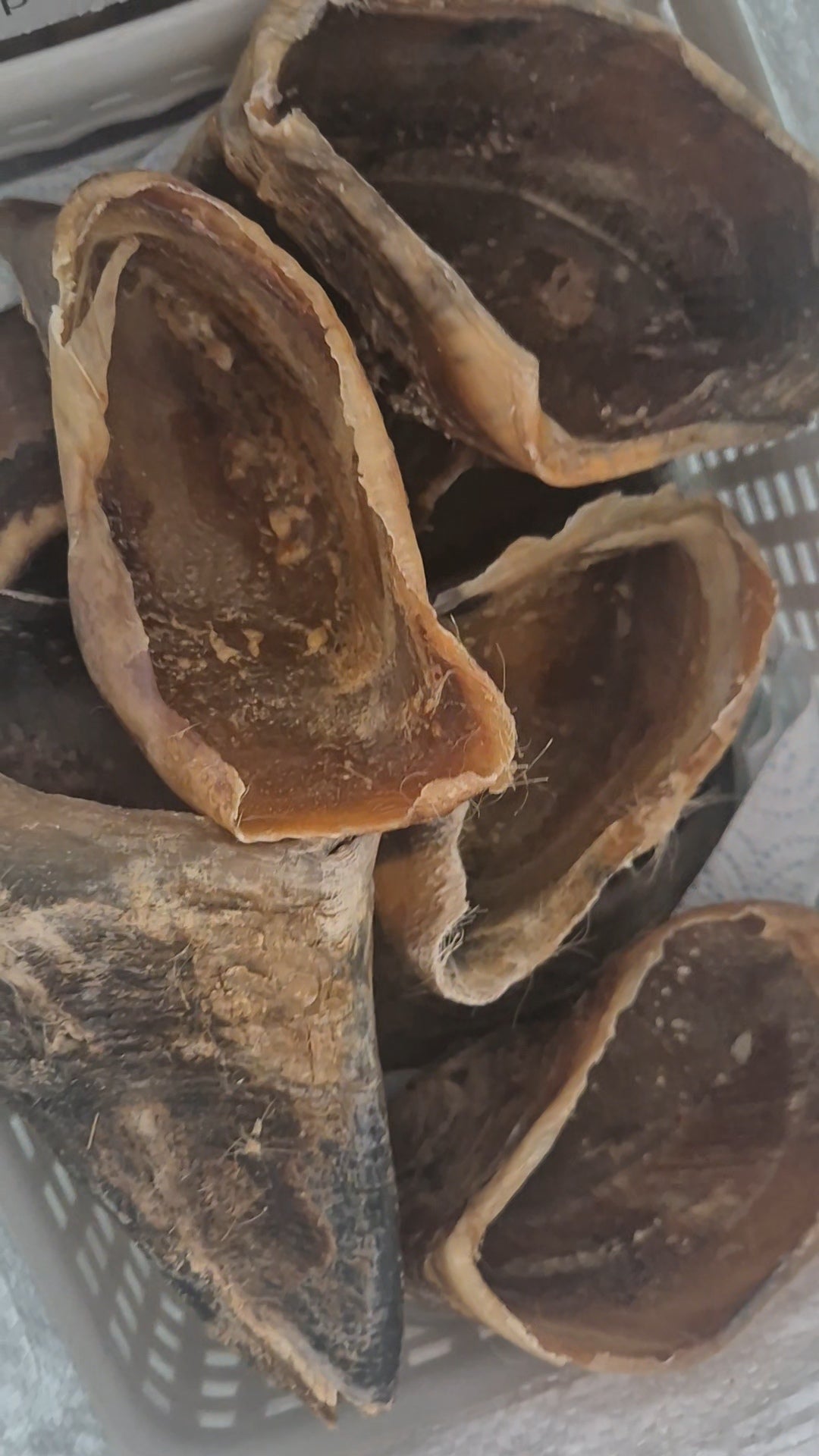 Beef Hooves (Hoofs) Natural Dog Chew