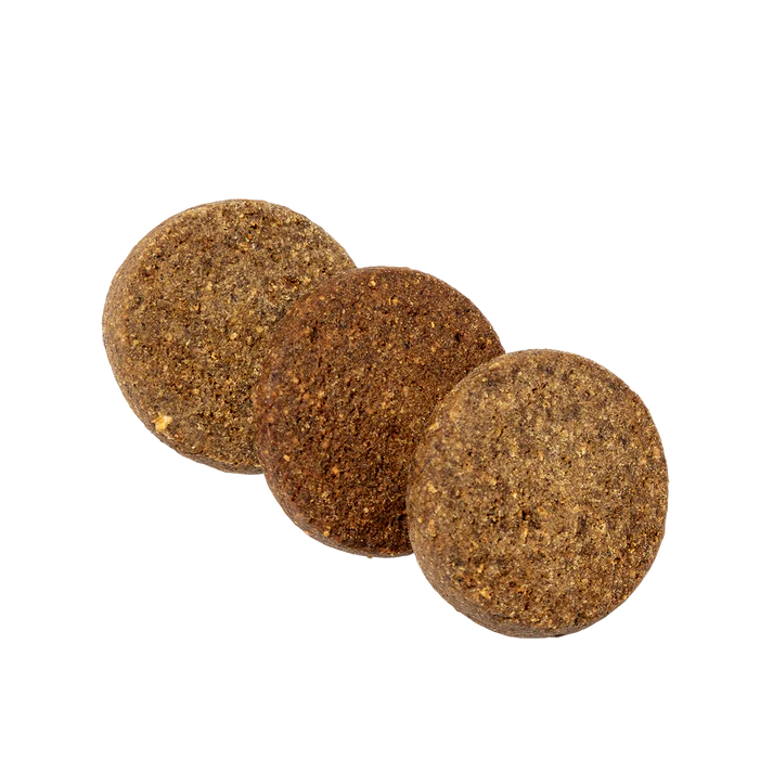 Gourmet Salmon Cookies. All Natural Dog Treats