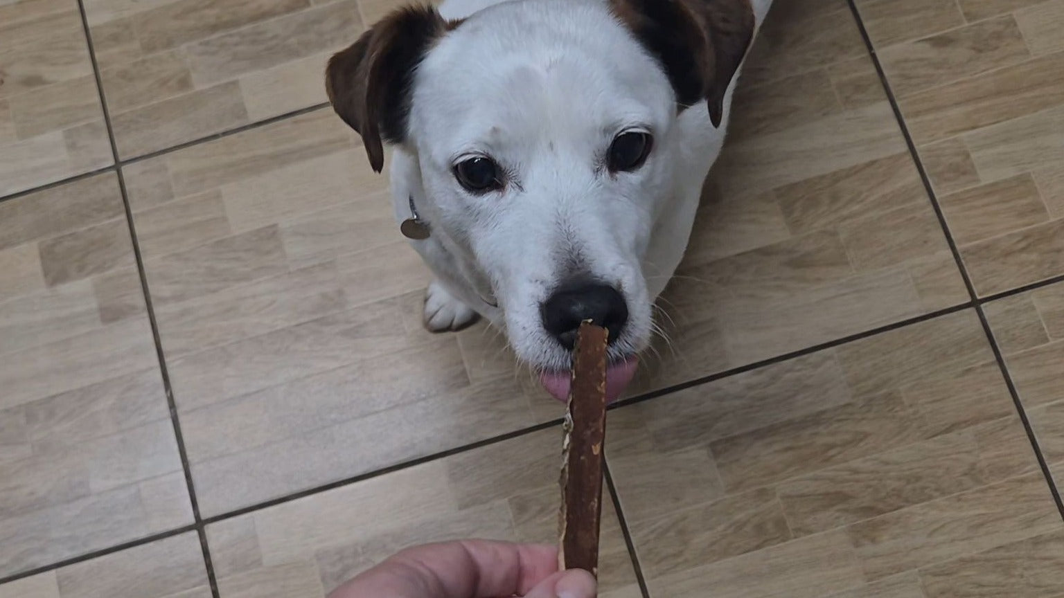 Salmon Skin Strips. Natural treats
